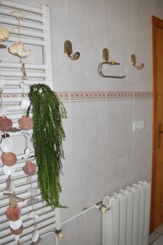 Propiedad - Imagen 8