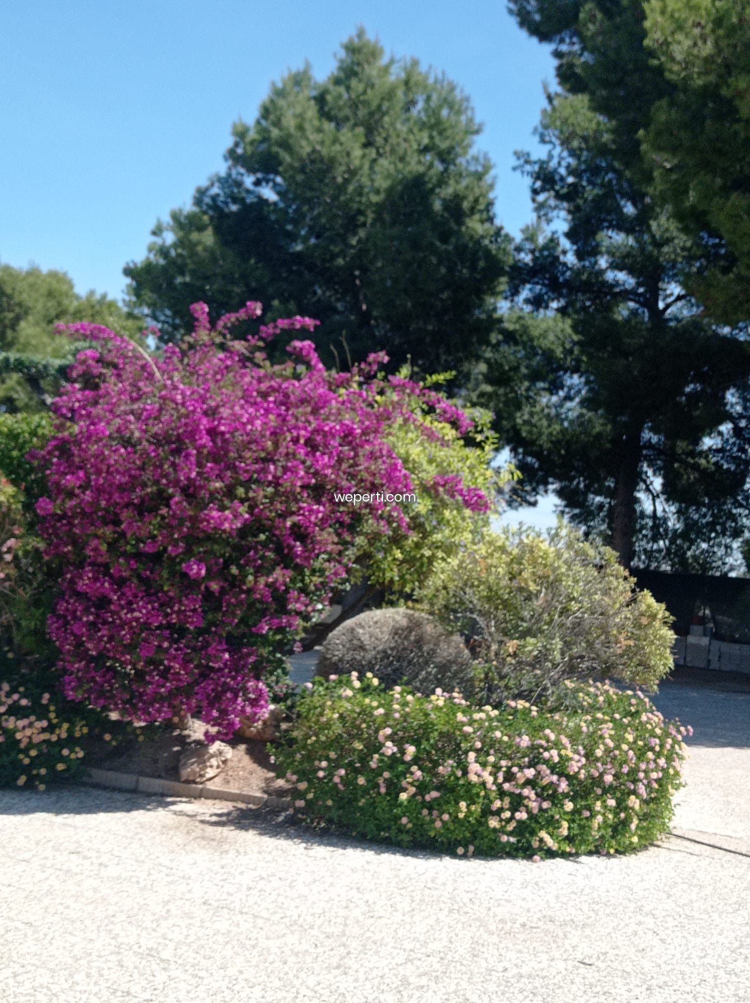 Propiedad - Imagen 9