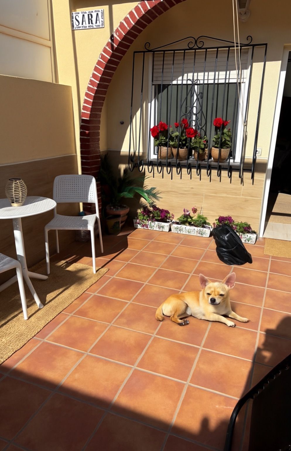 Propiedad - Imagen 14