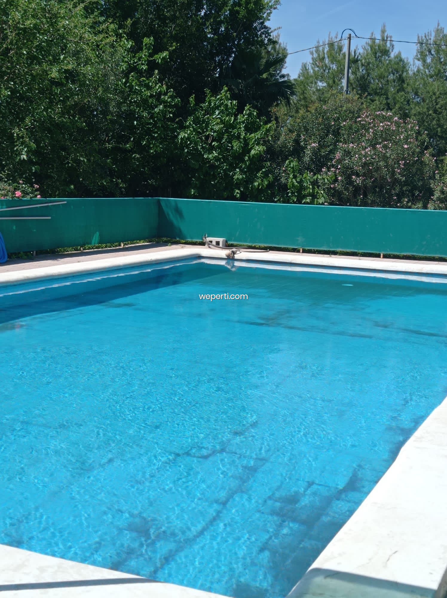 Propiedad - Imagen 11