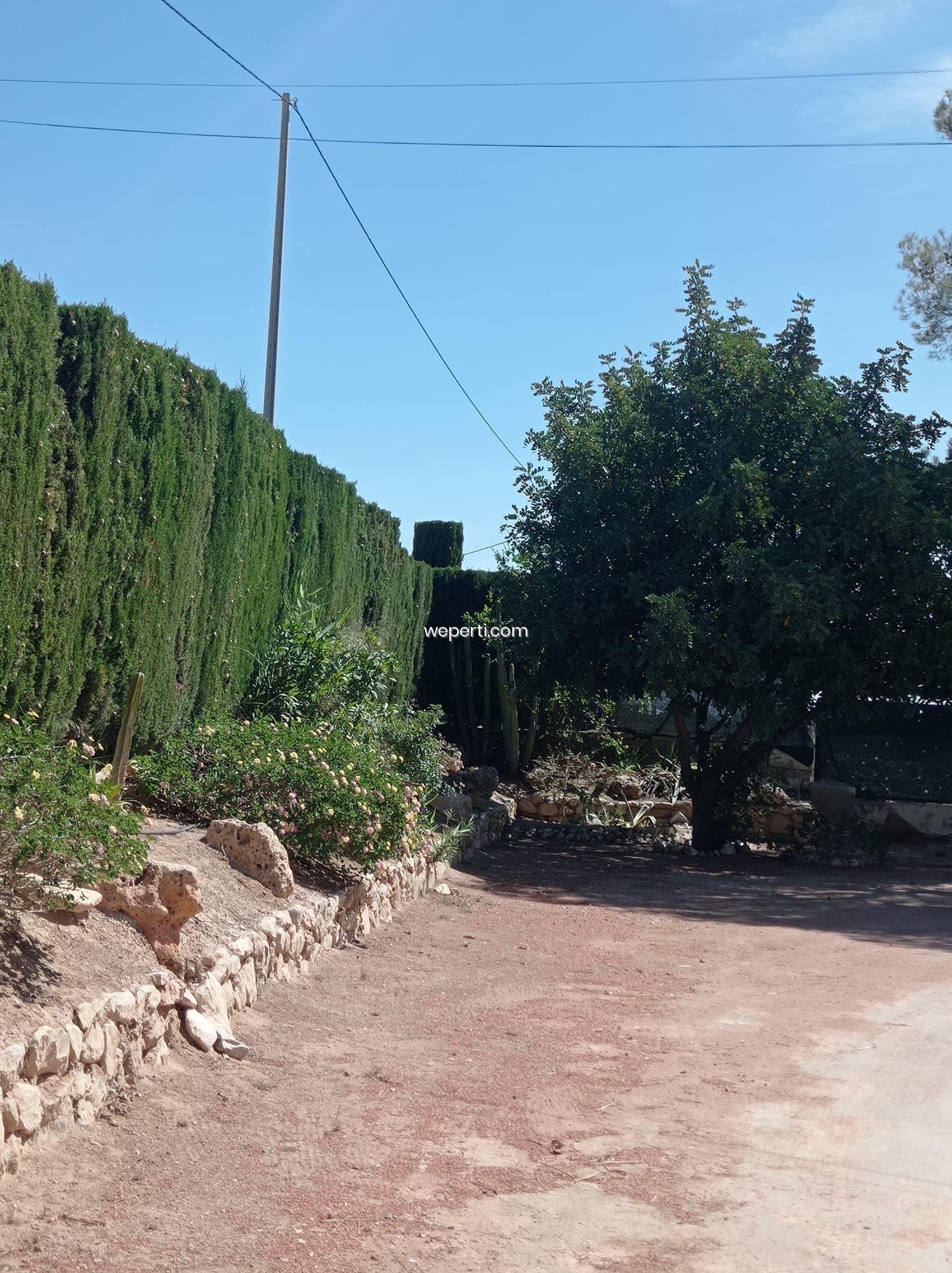 Propiedad - Imagen 80